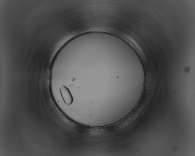 X0000091470804200708301852