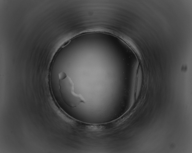 X0000091470805200708301852