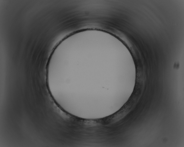 X0000091470807200708301852