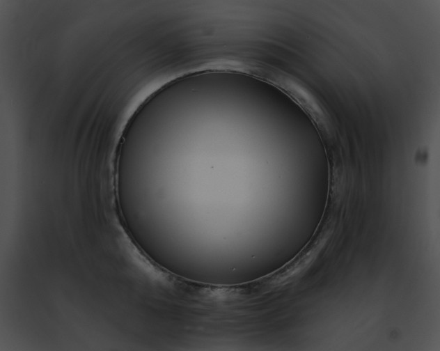 X0000091470808200708301852