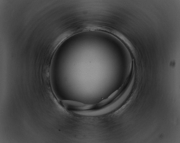 X0000091470809200708301852