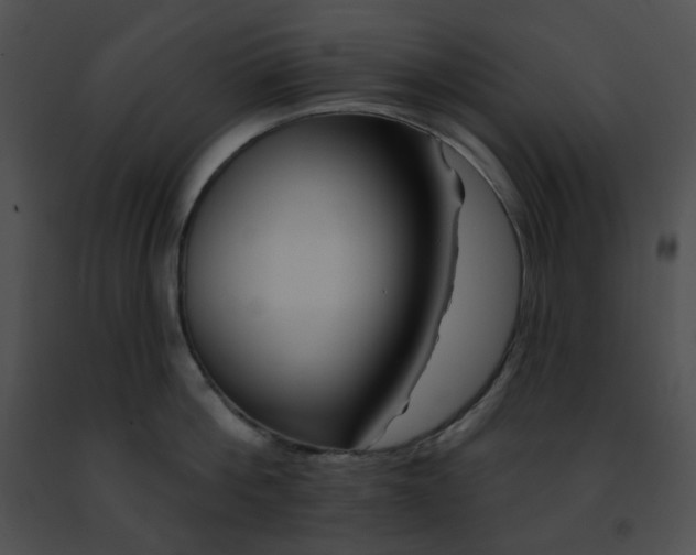 X0000091470812200708301852