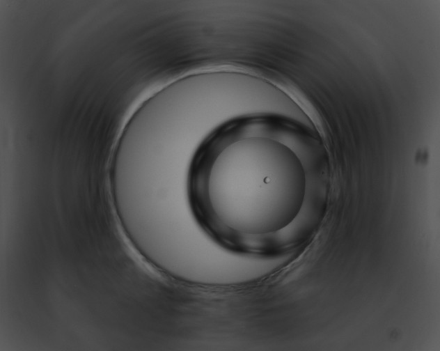 X0000091470813200708301852