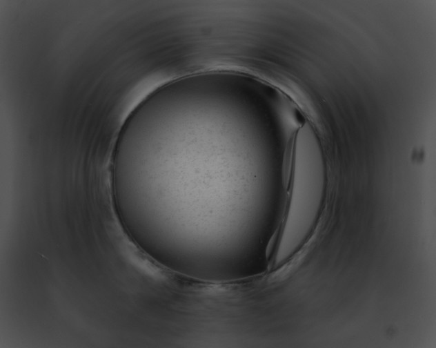 X0000091470814200708301852