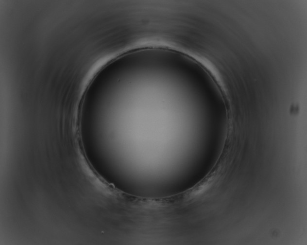 X0000091470815200708301852