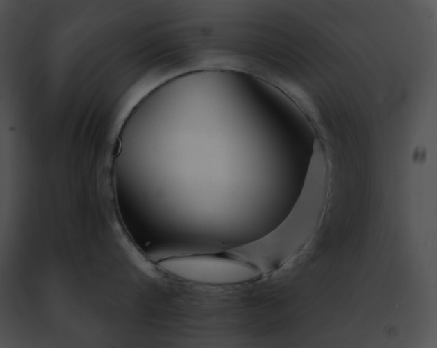 X0000091470816200708301852