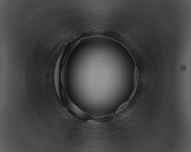 X0000091470818200708301851