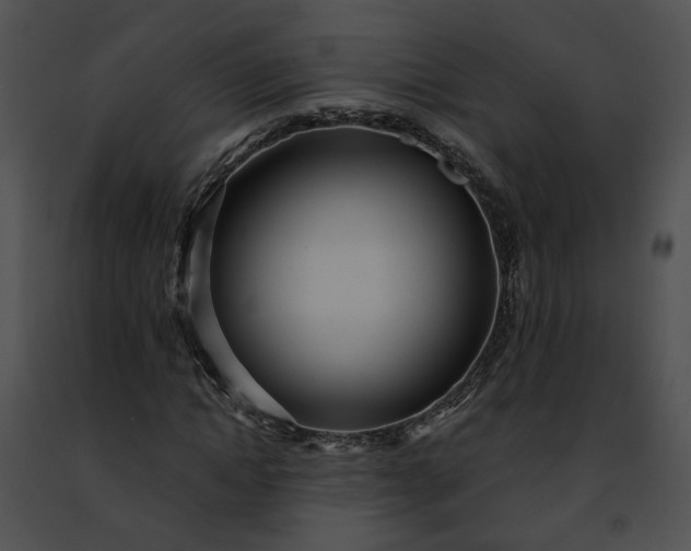 X0000091470822200708301851