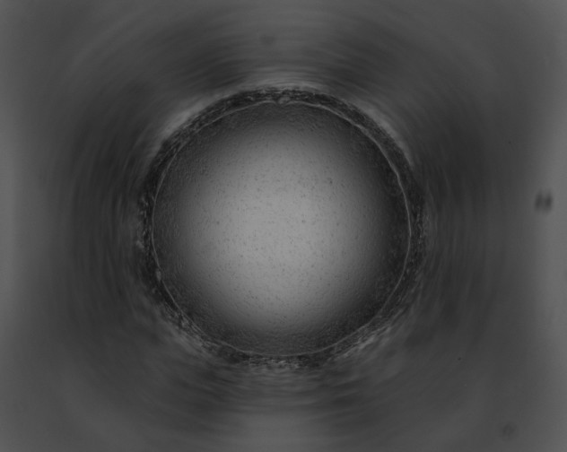 X0000091470823200708301851