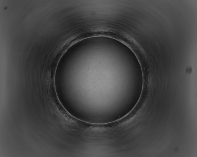 X0000091470825200708301851