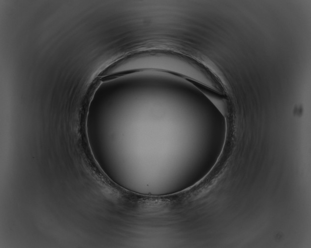 X0000091470826200708301851