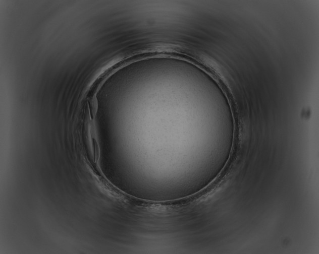 X0000091470827200708301851