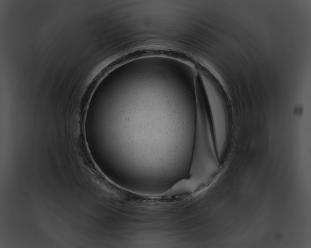 X0000091470829200708301851