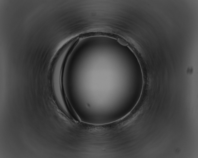 X0000091470830200708301851