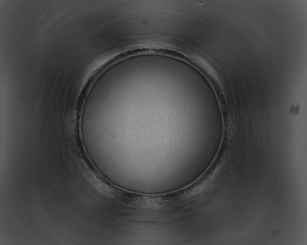 X0000091470831200708301851