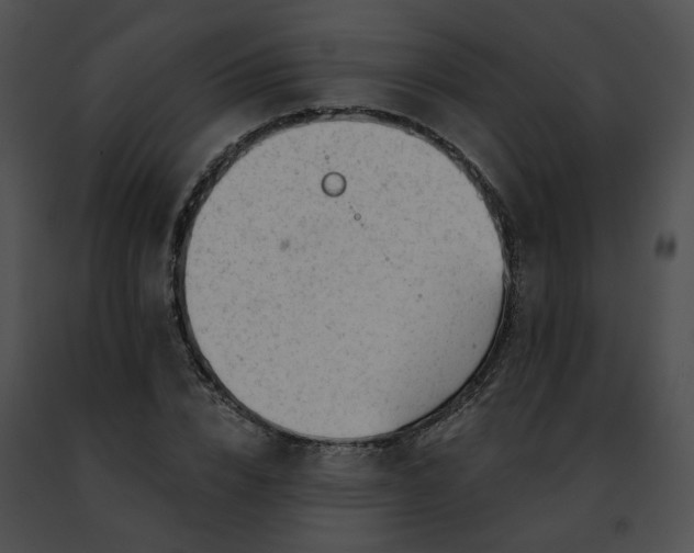 X0000091470832200708301851