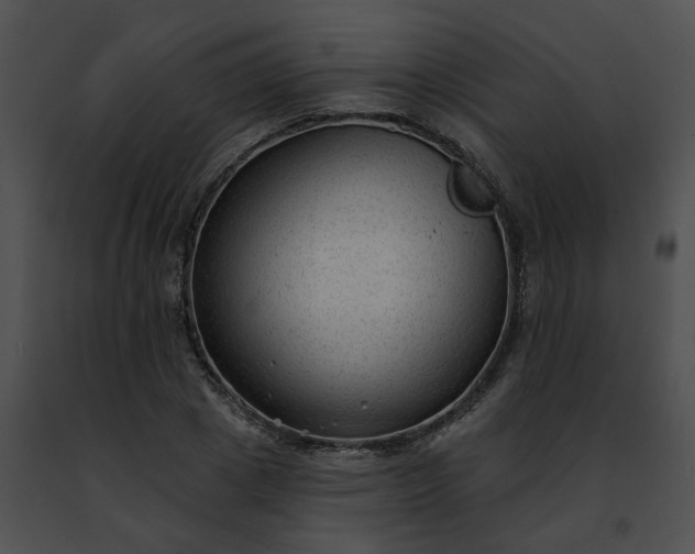 X0000091470833200708301851