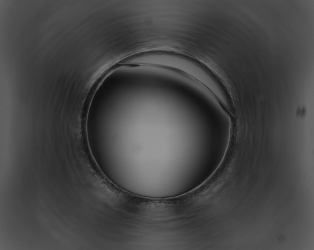 X0000091470834200708301851