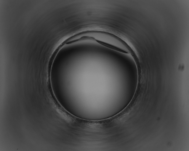 X0000091470837200708301851