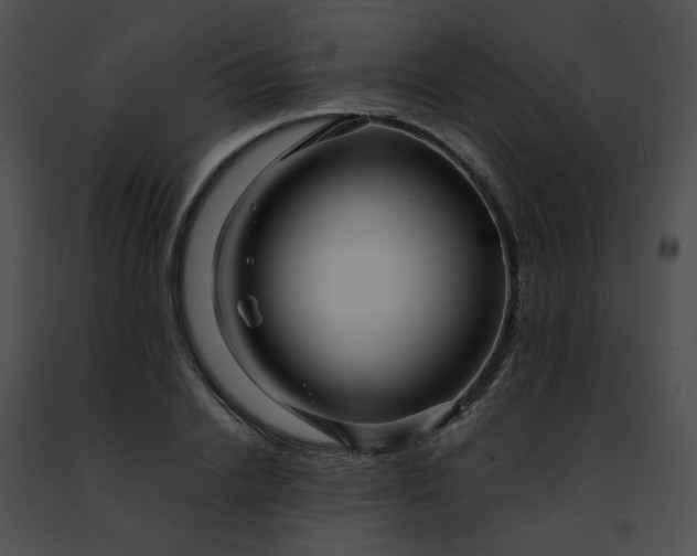 X0000091470838200708301851