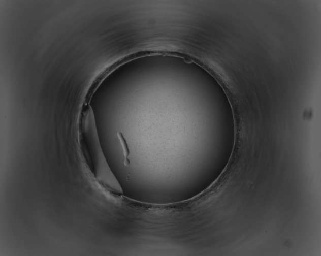 X0000091470840200708301851