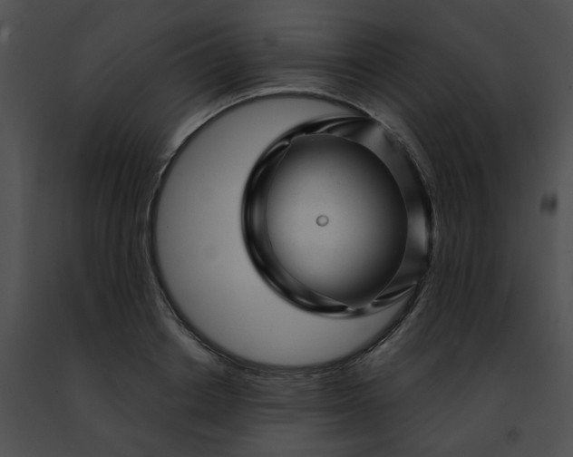 X0000091470842200708301851