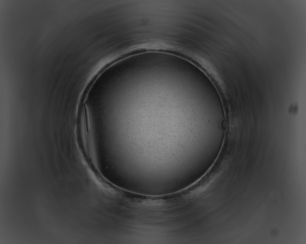 X0000091470845200708301851