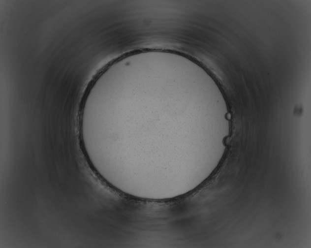 X0000091470848200708301851