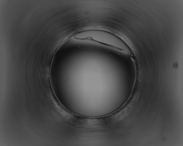 X0000091470849200708301851