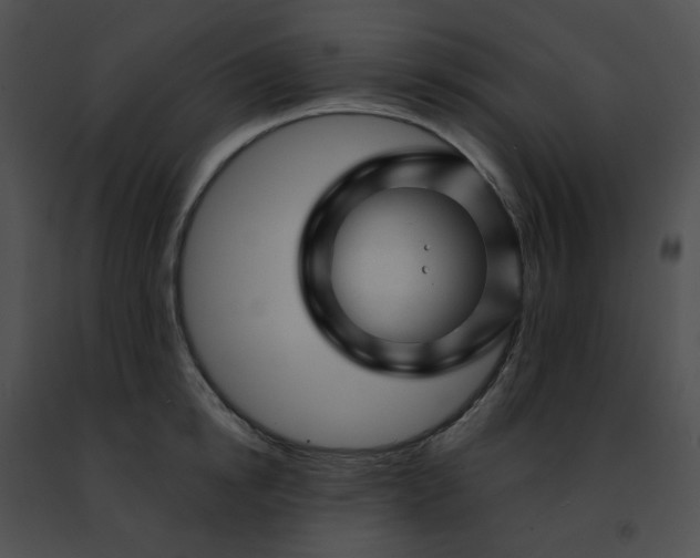 X0000091470854200708301851