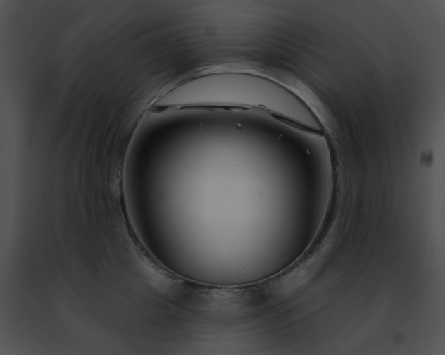 X0000091470857200708301851