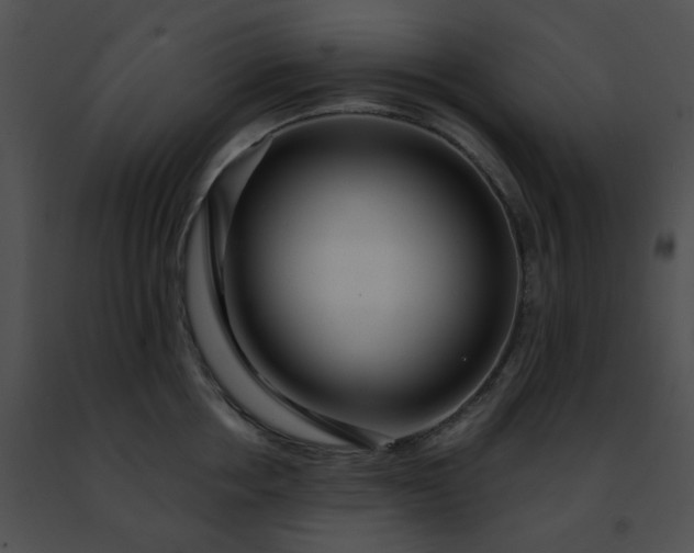 X0000091470858200708301851