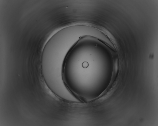 X0000091470860200708301851