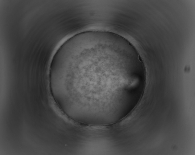 X0000091470864200708301852