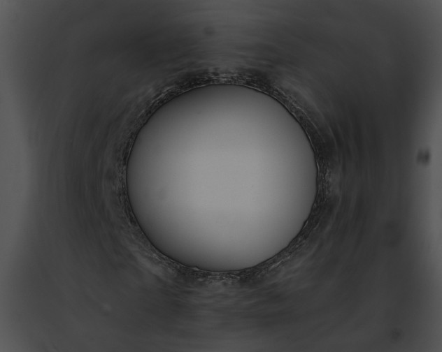 X0000091470865200708301851