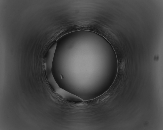 X0000091470868200708301851