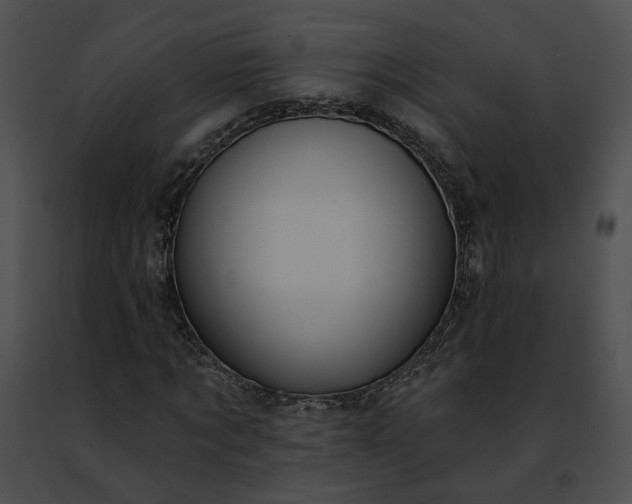 X0000091470869200708301851