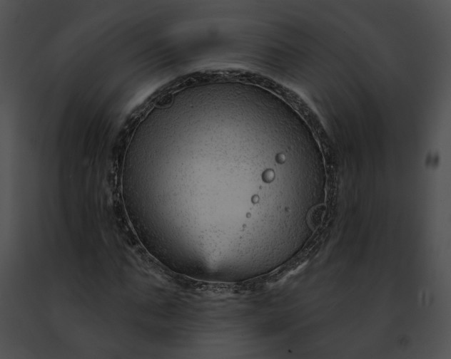 X0000091470871200708301851