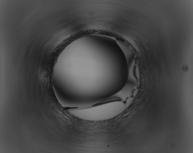 X0000091470872200708301851