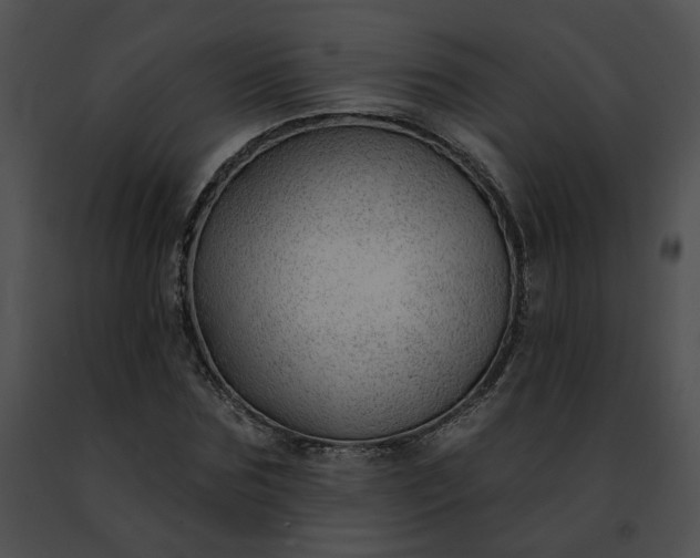 X0000091470875200708301851