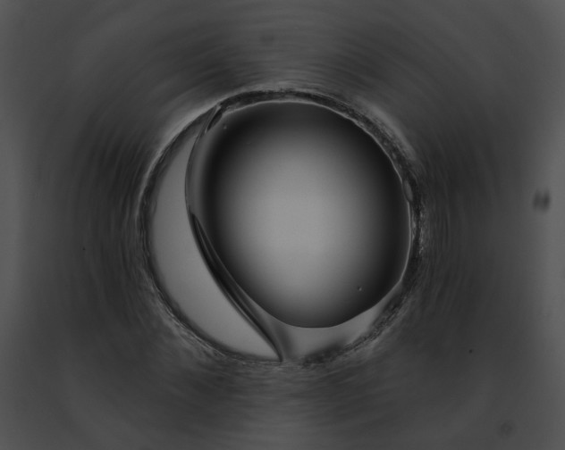 X0000091470876200708301851