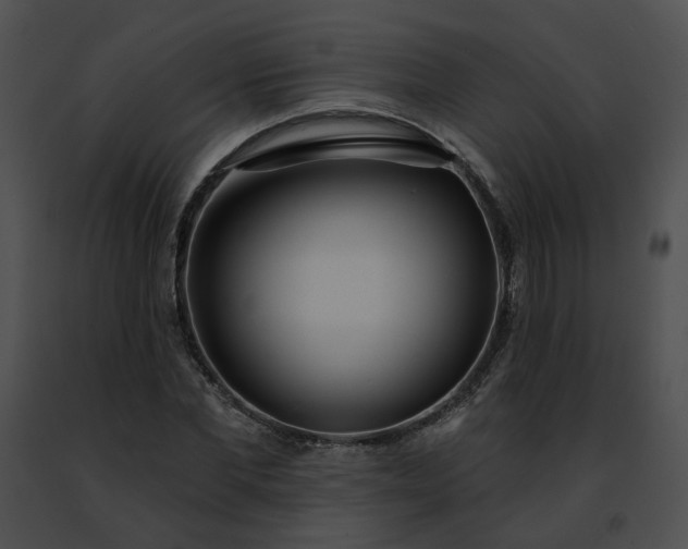 X0000091470877200708301851