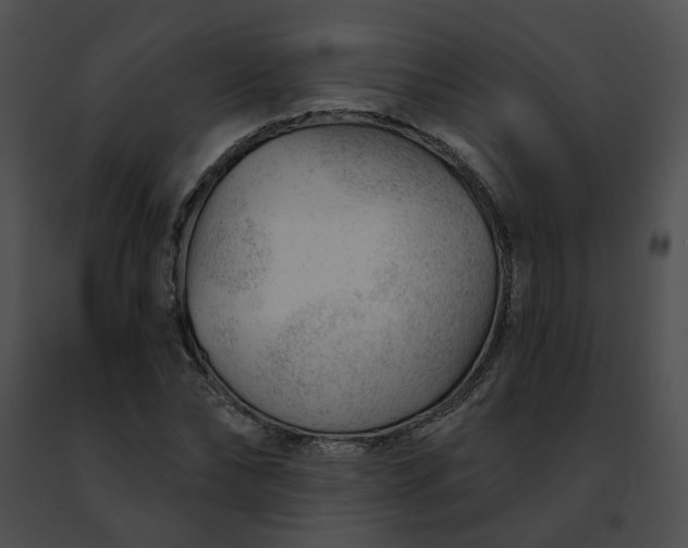 X0000091470878200708301851