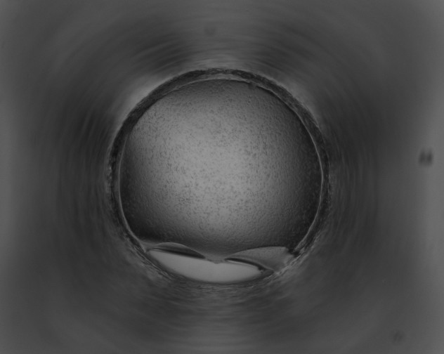 X0000091470879200708301851