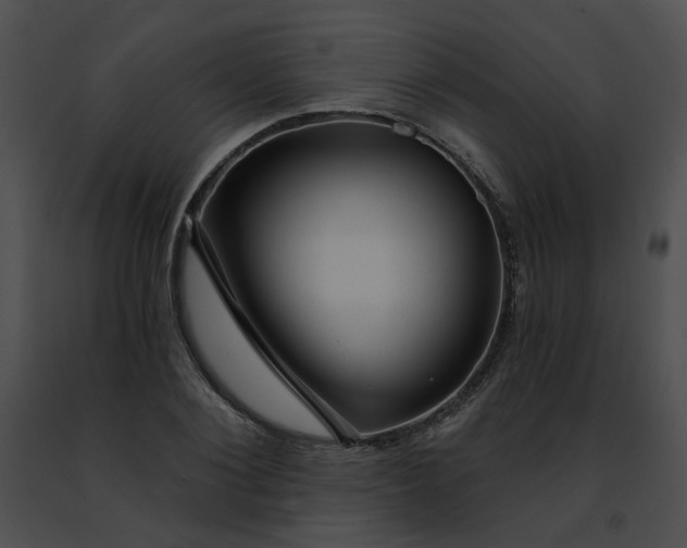 X0000091470884200708301851