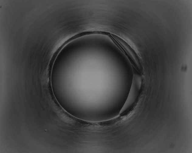 X0000091470885200708301851