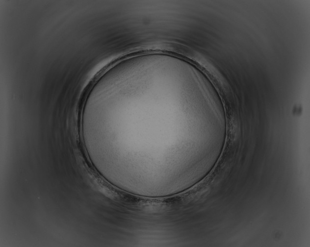 X0000091470886200708301851