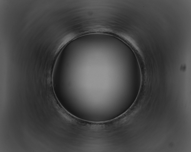 X0000091470889200708301851