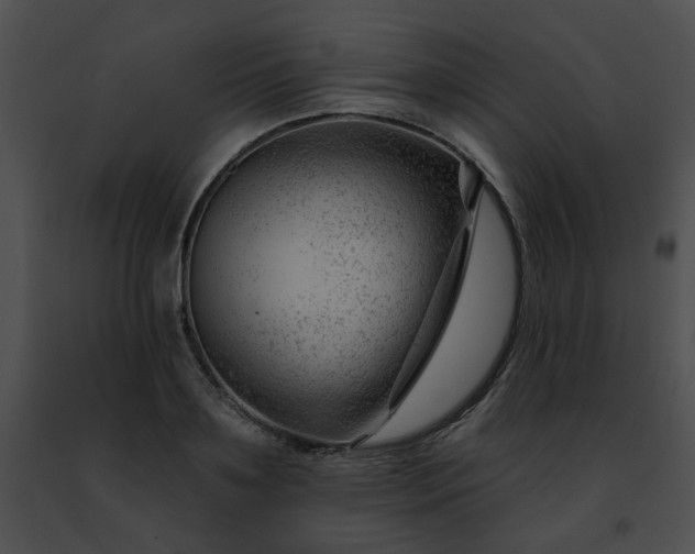 X0000091470891200708301851