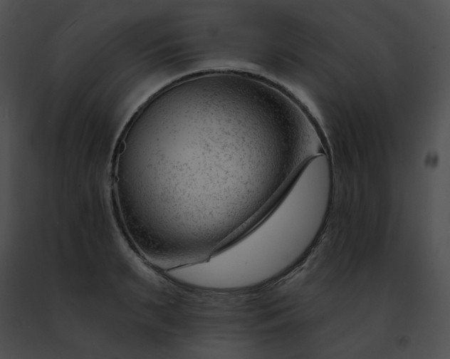 X0000091470895200708301851